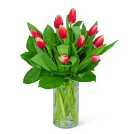 Pink tulips arranged in a clear glass vase