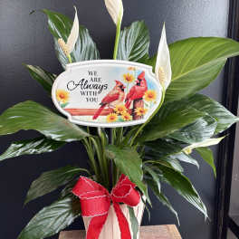 Elegant Peace Lily with garden stake in basket - "Always with you"