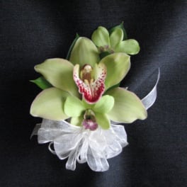 Green orchid corsage with a white ribbon bow