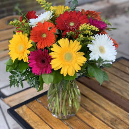 Colorful gerbera daisy bouquet in a clear glass vase