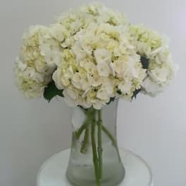 White hydrangea bouquet in a clear glass vase