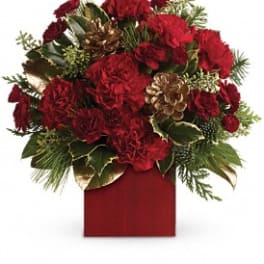 Laughter and Cheer by Teleflora