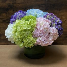 Colorful hydrangea arrangement in a dark vase