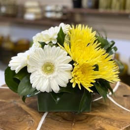 White and yellow daisy bouquet in a green box