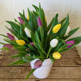 Bouquet of multicolored tulips in a white pot
