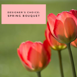 Designer's Choice - Spring