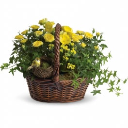 Yellow Trio Basket