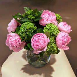 Pink peonies and green hydrangeas arranged in a glass vase
