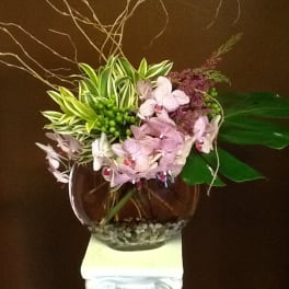 Pink orchids arranged in a round glass vase with decorative branches.