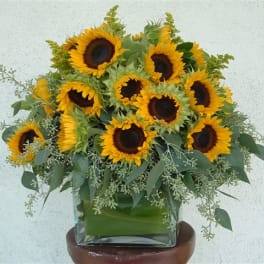 Sunflower arrangement in a square glass vase