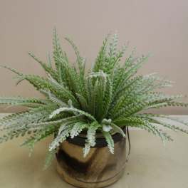 Potted green fern arrangement in a small metal container
