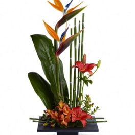 Tall tropical arrangement with orange bird of paradise and red lilies in a black vase