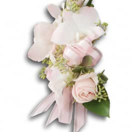 Pink rose corsage with ribbon and small white flowers
