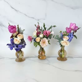 Spring Party Budvase Collection, choose 3, 5 or 8
