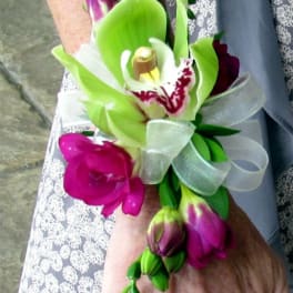 Wrist corsage with pink and green orchids and a white ribbon