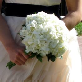 Bride holding a white hydrangea bouquet