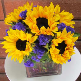 Compact arrangement of yellow sunflowers and purple blooms in a clear glass cube vase