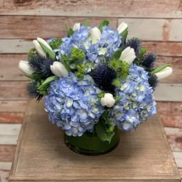 Blue hydrangea bouquet with white tulips in a green glass vase