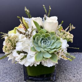 Low square arrangement with green succulent, white roses and hydrangeas in a clear glass cube vase.