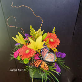 Eckert Florist's Butterfly Kisses Bouquet *Our Local Delivery Only