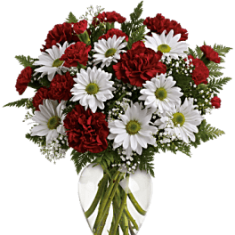 Red carnations and white daisies in a clear glass vase