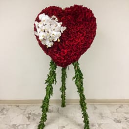Heart-shaped red rose arrangement with white orchids and hanging greenery