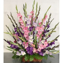 Basket arrangement of pink, purple, and white gladiolus flowers
