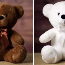 Two plush teddy bears, one brown and one white, each with a ribbon bow