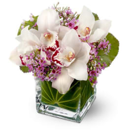 Teleflora's Lovely Orchids
