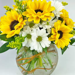 Bouquet of yellow sunflowers and white daisies in a round glass vase