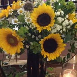 Ray of Sunshine: Sunflowers Special Sale