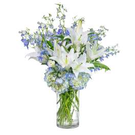 Tall glass vase of white lilies, blue hydrangeas, and blue delphinium in a layered arrangement