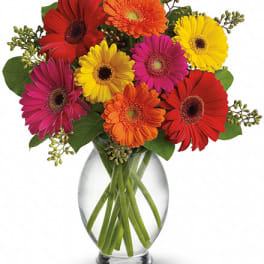 Mixed bright gerbera daisies in red, orange, yellow, and pink arranged in a clear glass vase
