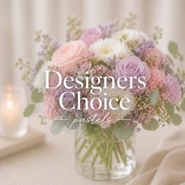 Designers Choice Pastels
