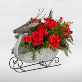 Red roses and carnations in a metal sleigh container