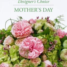 Lush bouquet of pink and cream roses with green hydrangeas for Mother’s Day