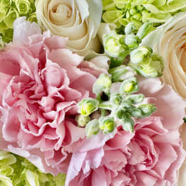 Close-up of pink carnations, cream roses, and green hydrangeas in a soft pastel floral arrangement