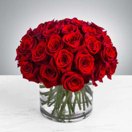 Three Dozen Red Roses by BloomNation™
