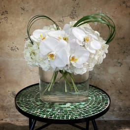 White orchids arranged in a clear glass vase with arched grass loops