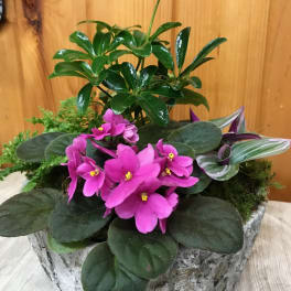 Potted plant arrangement with pink flowers in a stone-look container
