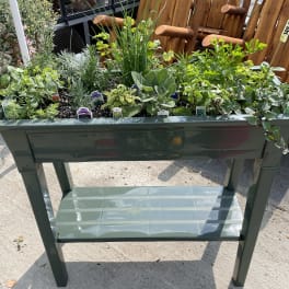 Outdoor planter table filled with assorted green herbs and plants