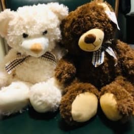 Two teddy bears with plaid bows, one white and one brown