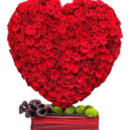 Heart-shaped arrangement of red roses in a red box with dark calla lilies and green moss balls