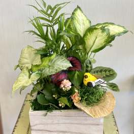 Tropical plant arrangement in a white wooden box with a small bird figurine