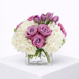 Low arrangement of white hydrangeas with lavender roses and purple tulips in a clear square vase.