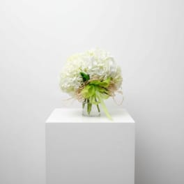 White hydrangea bouquet in a glass vase with a green ribbon