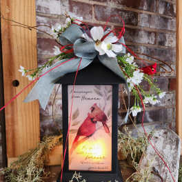 Eckert Florist's "A Messenger from Heaven..." Cardinal Lantern *Our Local delivery Only