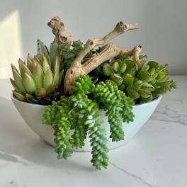 Garden bowl