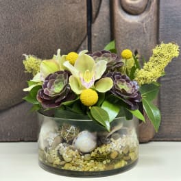 Succulent arrangement with orchids and yellow pom-pom flowers in a glass bowl