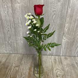 Single red rose with small white daisies in a clear glass vase